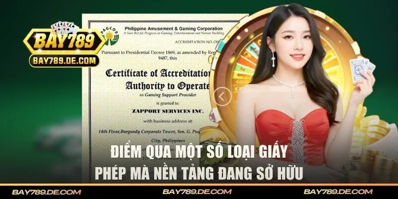 Điểm qua một số loại giấy phép mà nền tảng đang sở hữu