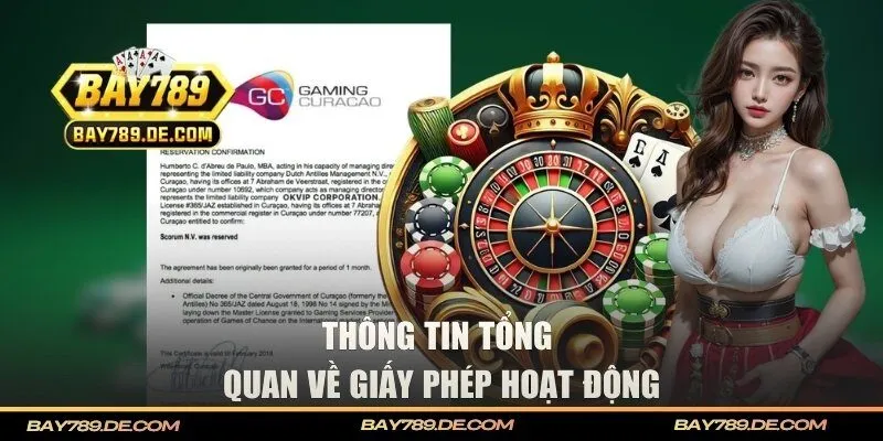 Thông tin tổng quan về giấy phép hoạt động